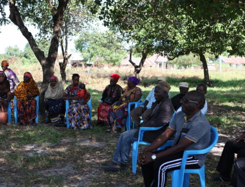 Questionnaire Activities in Morogoro Rural District